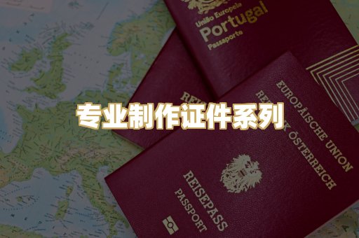 专业制作证件系列